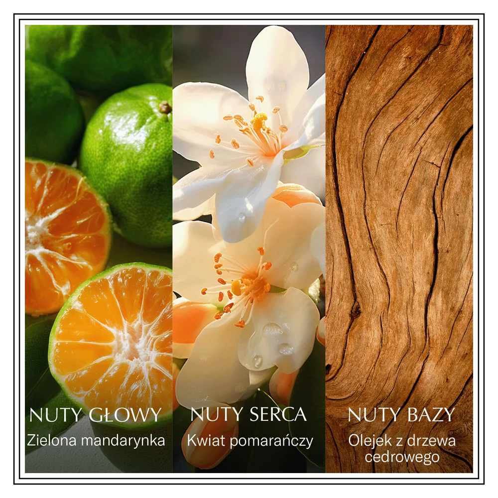 Chanson d'Eau Neroli woda toaletowa - Image 2