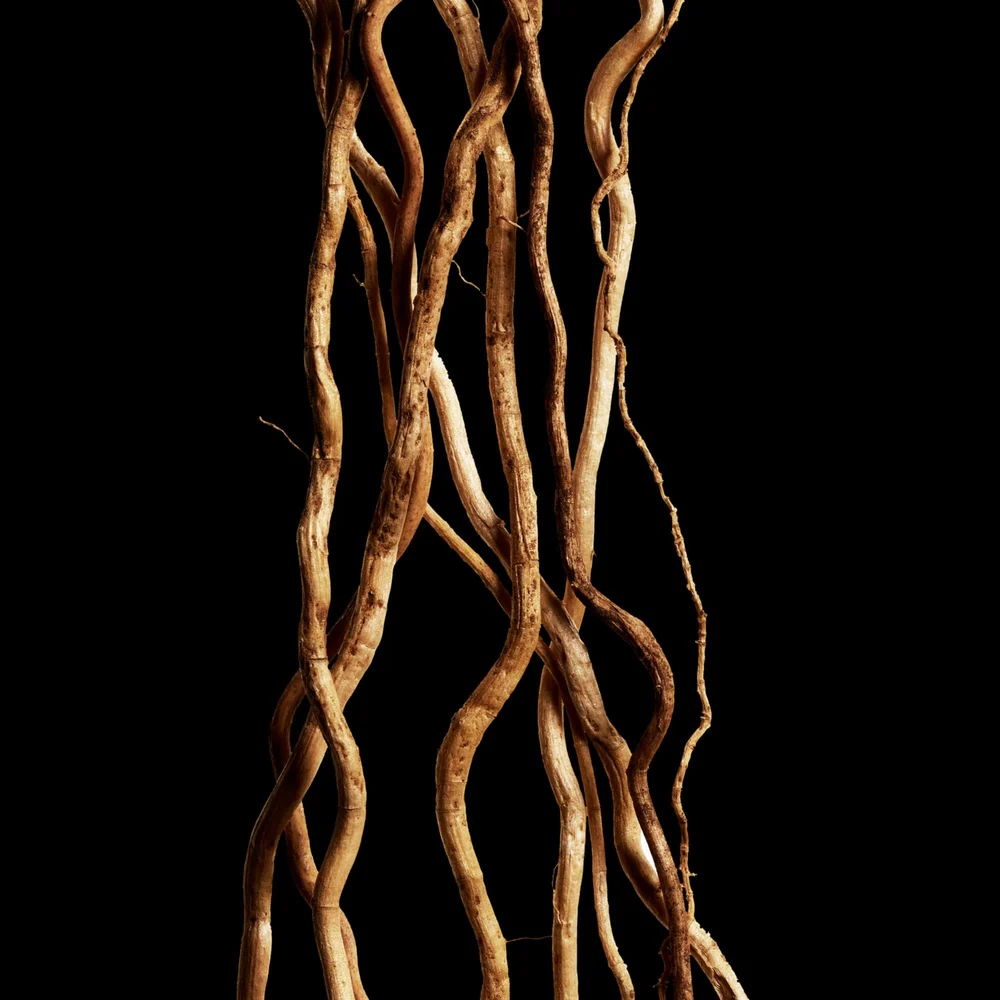 Cool Water Reborn Woman woda toaletowa - Image 2