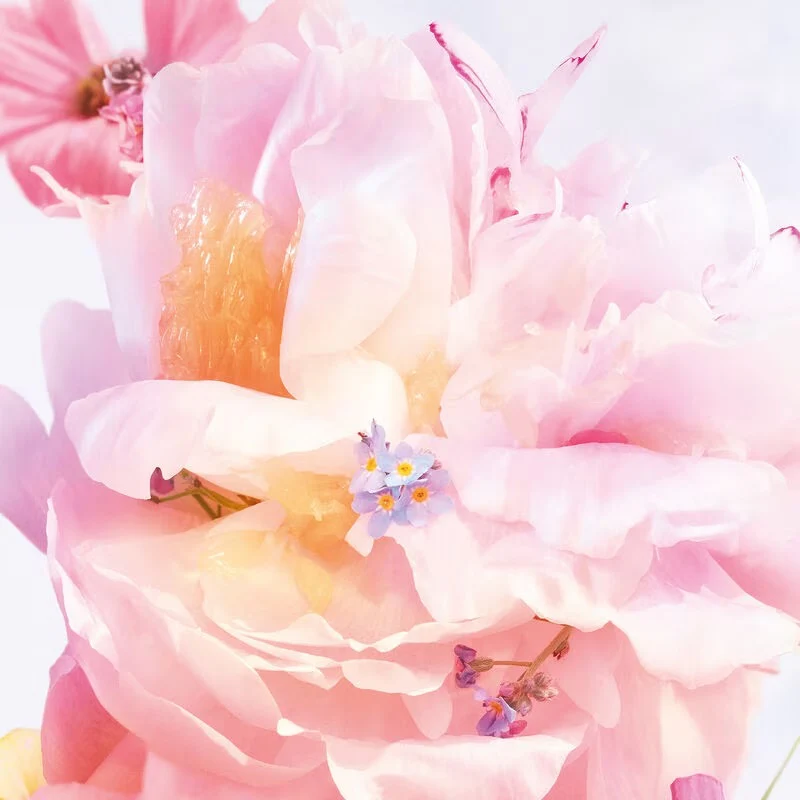 Miss Dior Blooming Bouquet woda toaletowa spray - Image 7