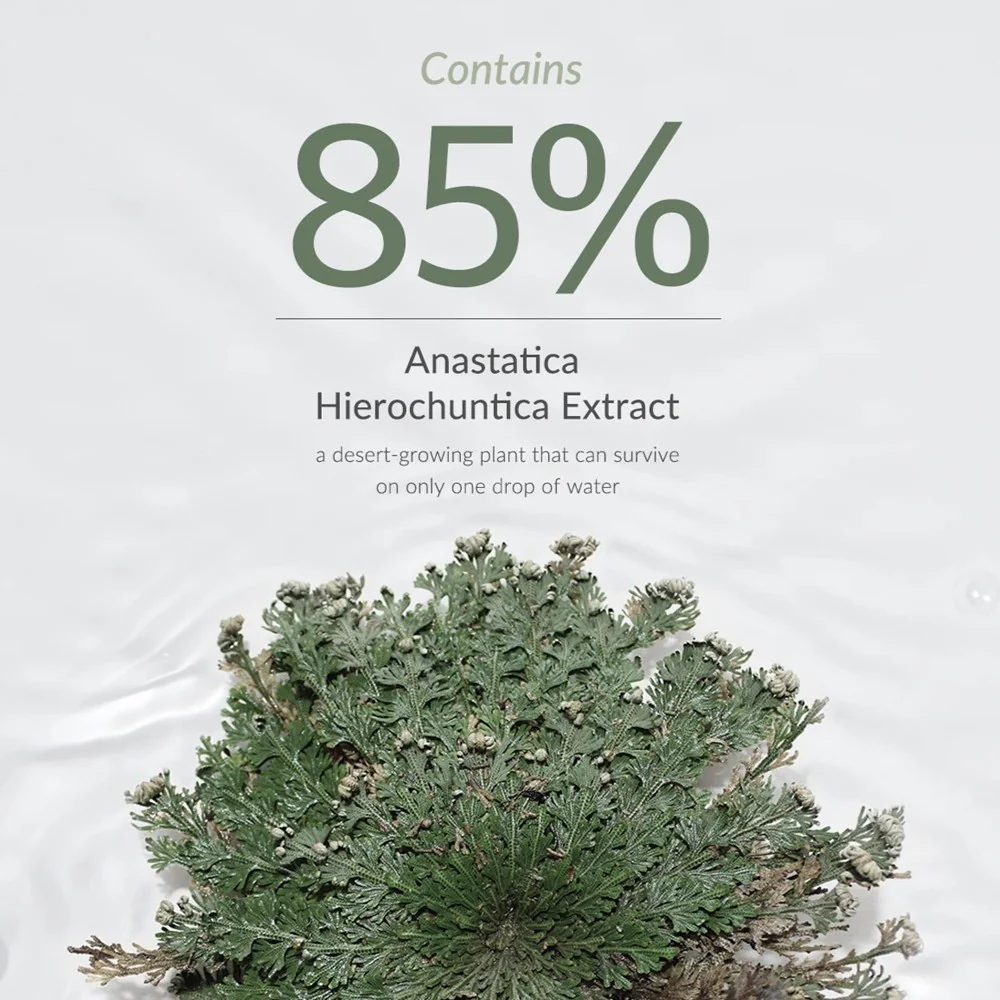85% Anastatica Skin Conditioning Toner rewitalizujący tonik z 85% ekstraktem z róży jerychońskiej 250ml - Image 4