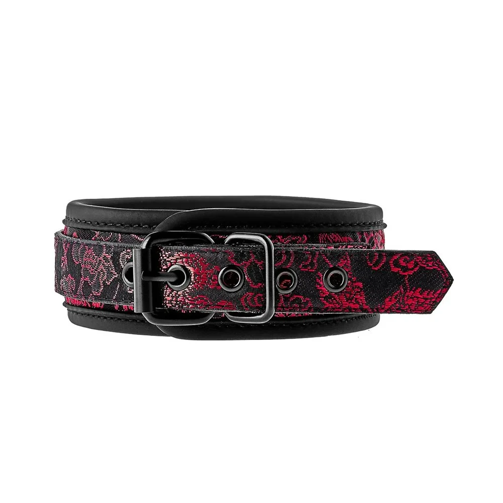 Blaze Deluxe Collar & Leash obroża ze smyczą - Image 2