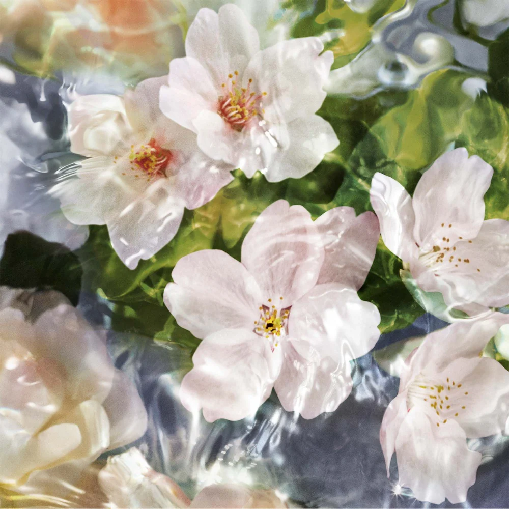 Aqua Allegoria Flora Cherrysia woda toaletowa - Image 2