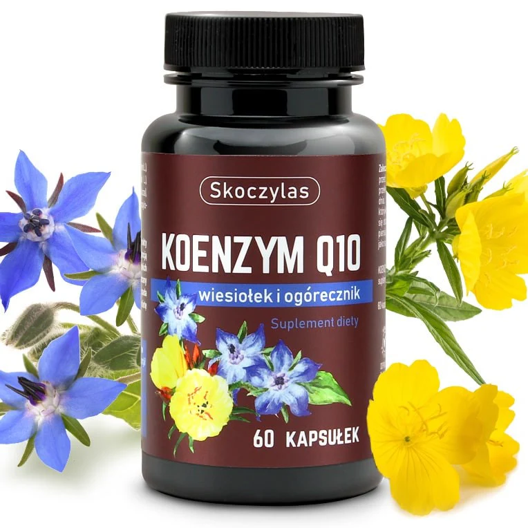 Koenzym Q10 wiesiołek i ogórecznik suplement diety 60 kapsułek - Image 2