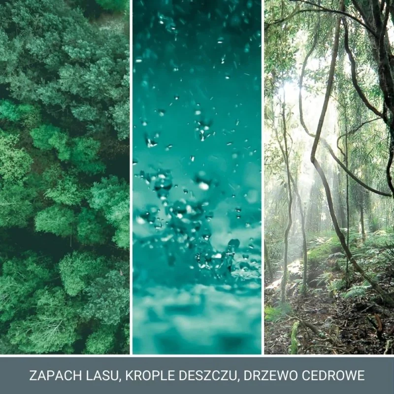 Duża świeca zapachowa Bayside Cedar 567g - Image 2