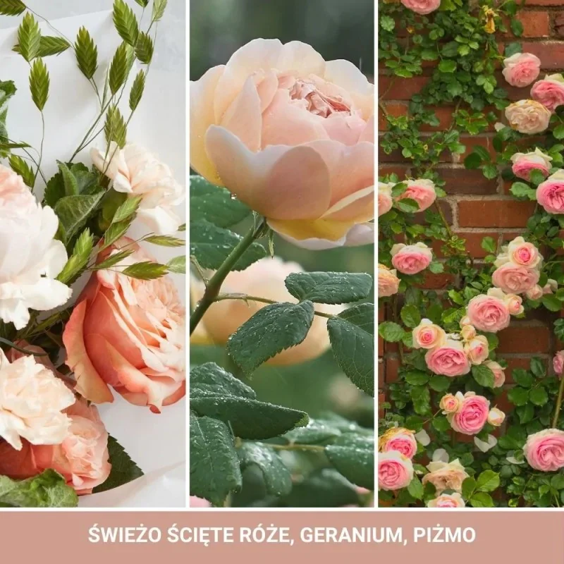 Średnia świeca zapachowa Fresh Cut Roses 368g - Image 2